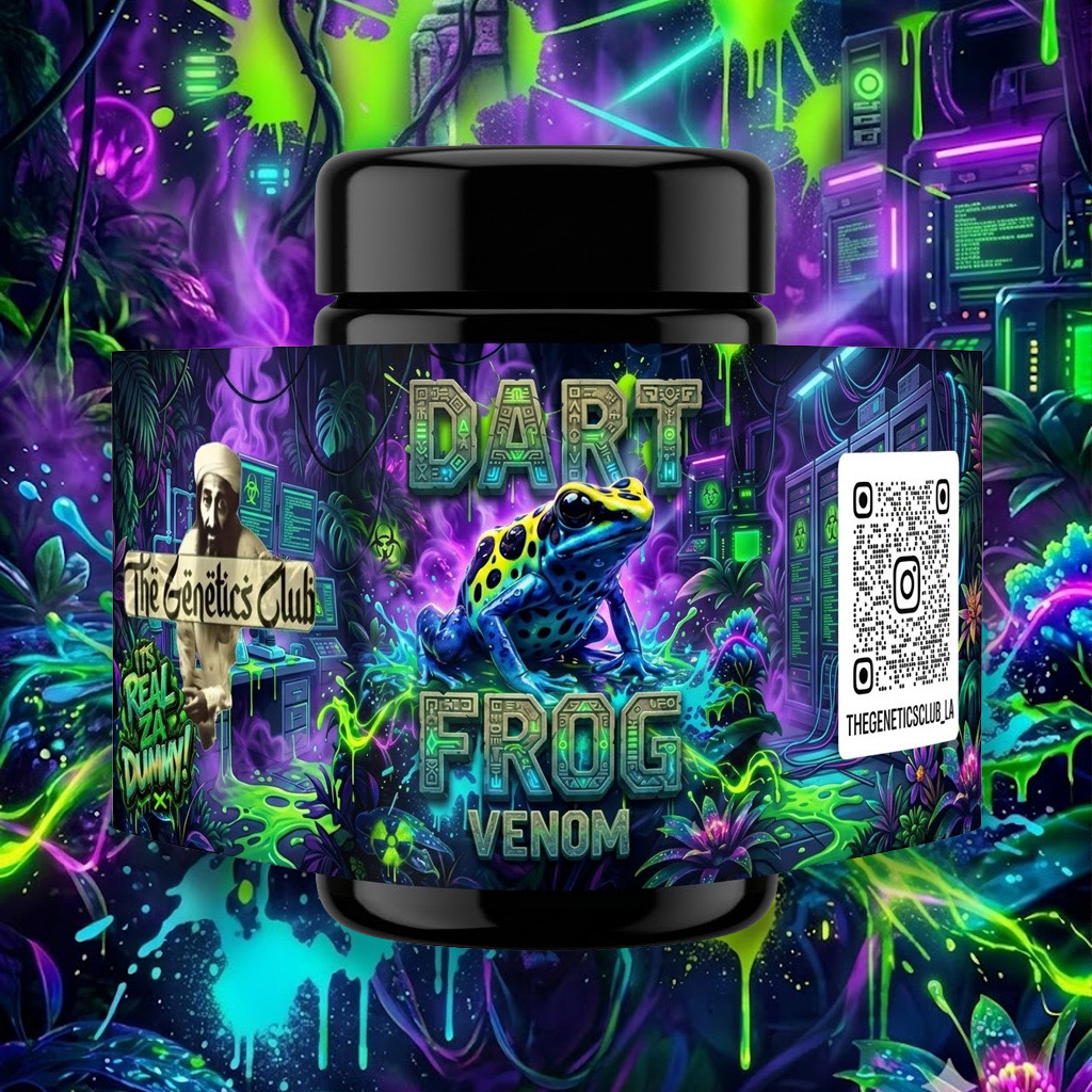 Dartfrogmock
