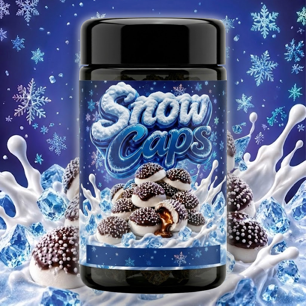Snocap Mock